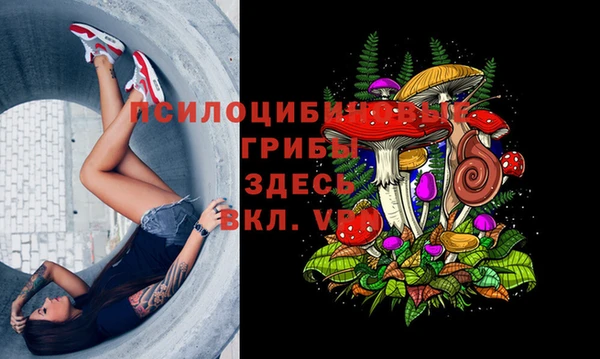 скорость Арсеньев